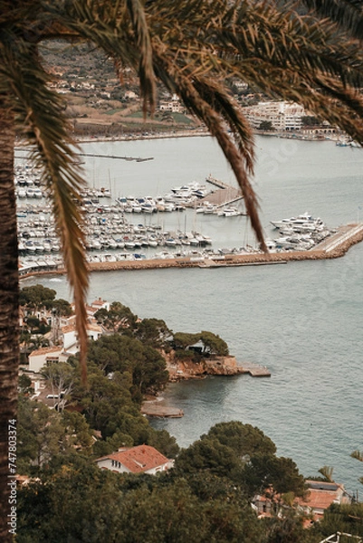 Obraz Port d'Andratx