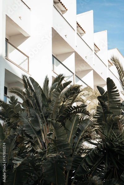 Obraz trees in a hotel