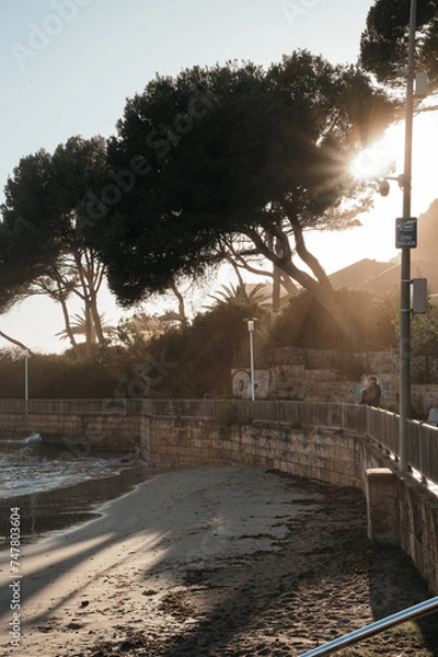 Obraz sunset in the city