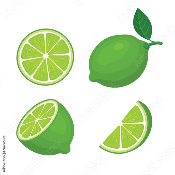 Fototapeta Lime With Slices and Leaves Set on white background. Vector