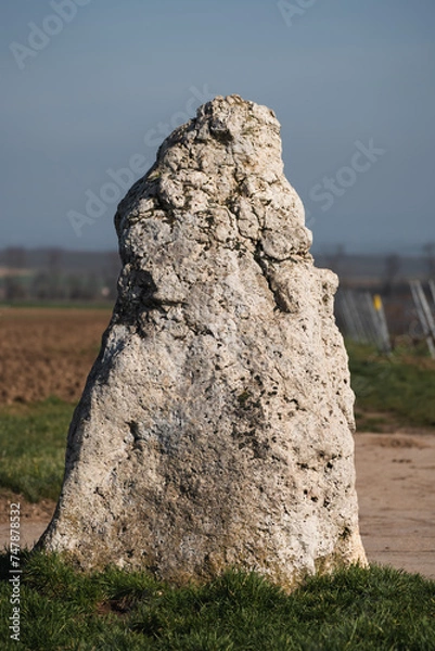 Obraz Weißer Stein (Menhir) Dittelsheim-Heßloch