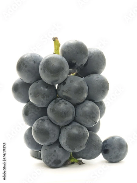 Fototapeta ブドウ