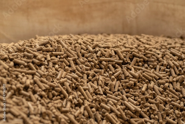 Obraz GRANULES DE CHAUFFAGE SANS BOIS