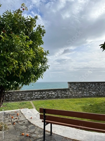 Obraz Sea garden in Greece