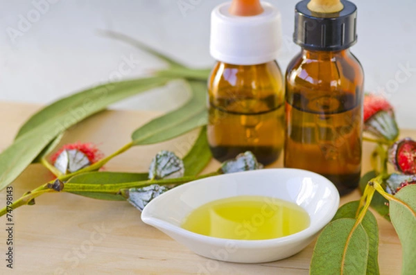 Obraz Eucalyptus essential oil.