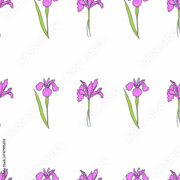 Obraz pattern with an iris flower drawn in vector, postcard with a delicate flower