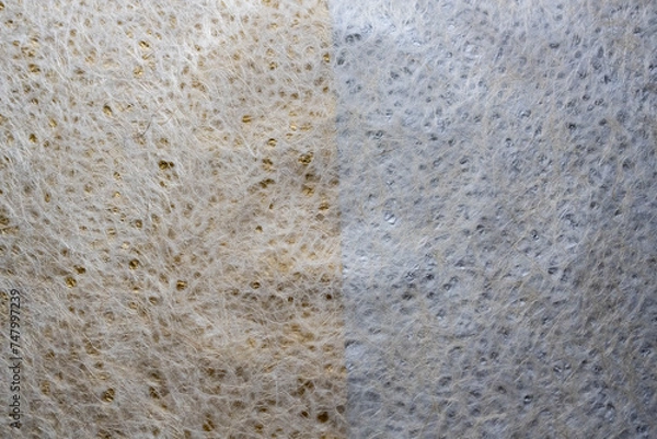 Obraz 光沢と美しさ・和紙に映える金銀白和紙