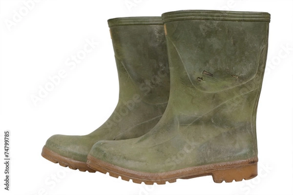 Obraz wellington boots on white
