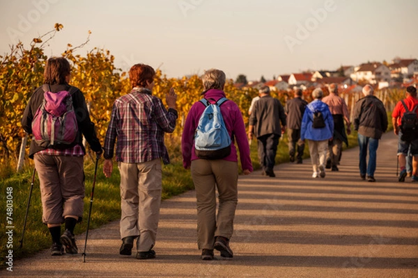 Fototapeta Wędrowcy