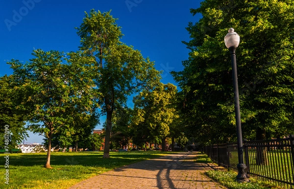 Fototapeta Lamp and brick path through trees on Federal Hill, Baltimore, Ma