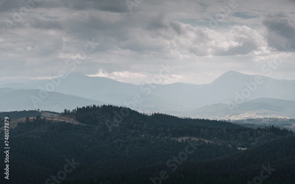 Obraz Rainy day mountains - gray cloudy weather in Carpathian mountains. View from the top of Bukovel mountain at the two highest mountains in Ukraine - Hoverla and Petros mountain peaks. 