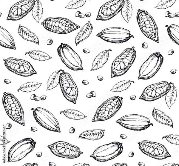 Fototapeta Cocoa Fruits. Vector drawing