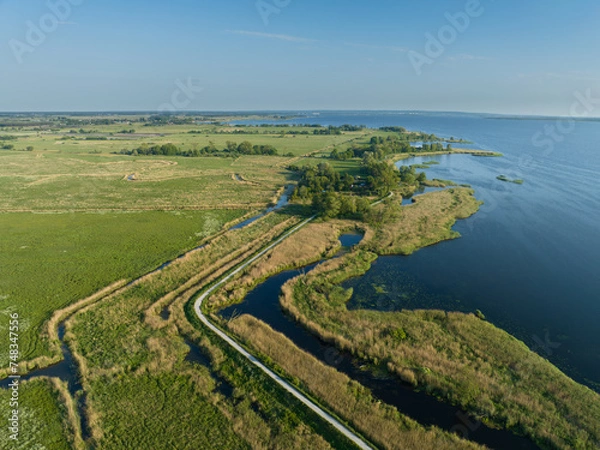 Obraz Aerial view at Zalew Szczeciński. Shore od Dąbie Lake, Lubczyna, Poland.