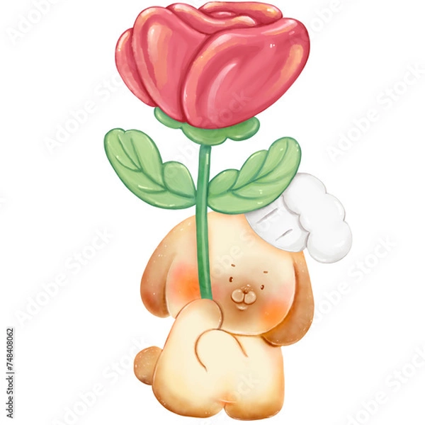 Obraz rabbit chef with rose