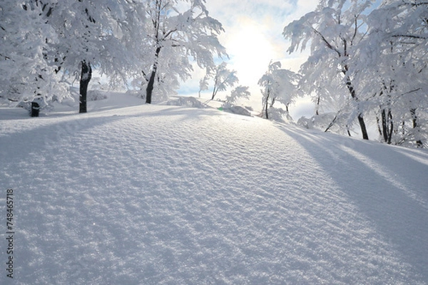 Obraz 白銀の世界