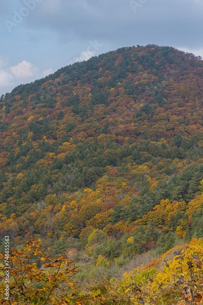 Fototapeta 日本　青森県青森市にある岩木山展望所から見える風景と紅葉