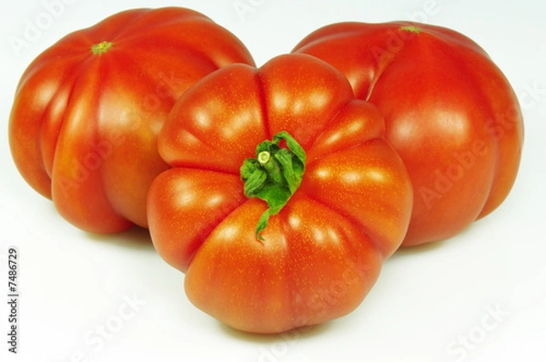 Fototapeta Pomodoro 2