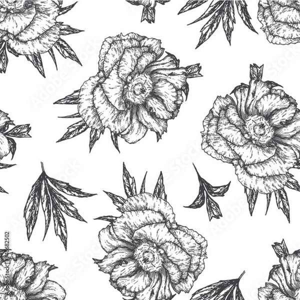 Fototapeta A botanical summer pattern with hand-painted peonies, delicate in gray and pink colors for design, scrapbooking and fabrics. Vector seamless pattern with floral elements on a white background