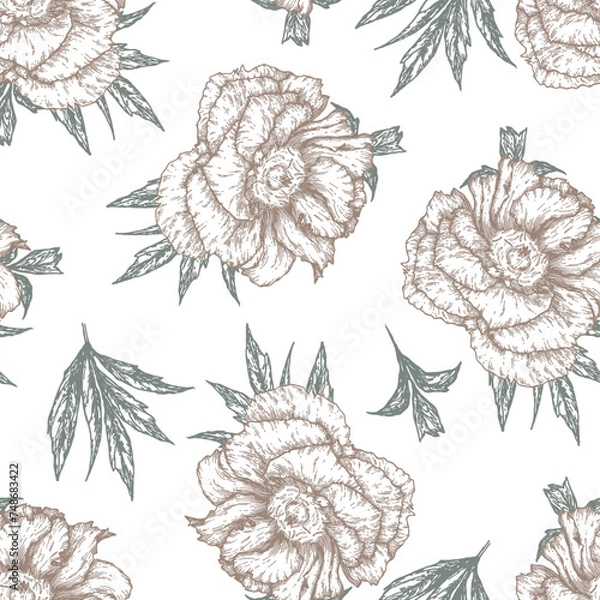 Fototapeta A botanical summer pattern with hand-painted peonies, delicate in gray and pink colors for design, scrapbooking and fabrics. Vector seamless pattern with floral elements on a white background