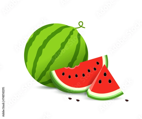 Fototapeta Watermelon and juicy slices. Half and triangular slice with seeds. vector illustration Water melon in flat style. concept Summer food. isolated on white background.