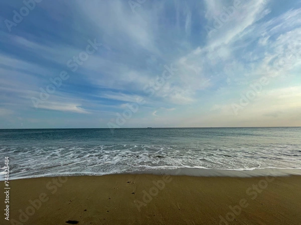 Obraz 渥美半島 菜の花まつり