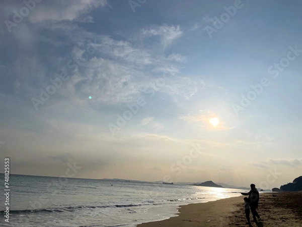 Obraz 渥美半島 菜の花まつり