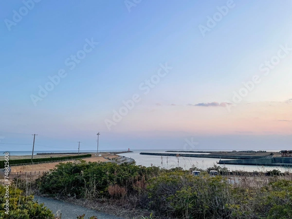 Obraz 渥美半島 菜の花まつり