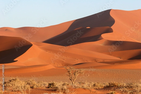 Obraz Red Sossusvlei dunes