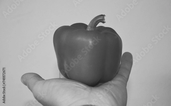 Obraz Papryka na dłoni - czarno białe zdjęcie