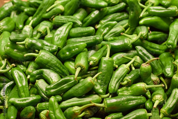 Obraz Green peppers piled up