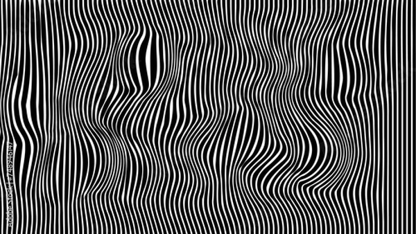 Fototapeta Black and white strips that are wavy and Bulging in random areas that create organic shapes