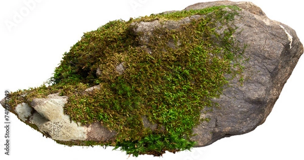 Fototapeta A Gray Rock with Green Moss- Ready to use PNG Cutout Premium Isolated Image
