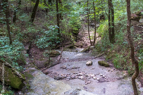 Obraz Stream Bed in Wooded Area of  the Duck River Complex near Columbia, TN, USA