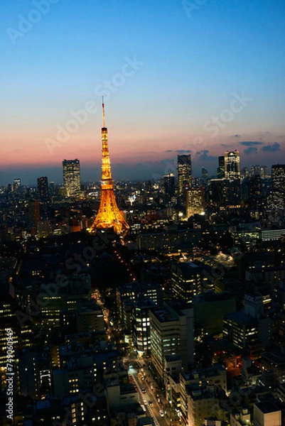 Obraz 東京の夜景