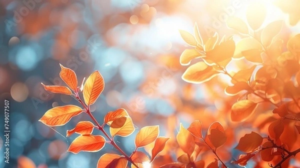 Obraz Autumn leaves on the sun. Fall blurred background