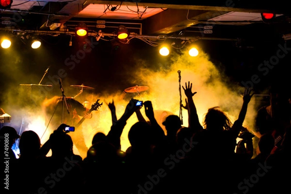 Obraz Rock concert