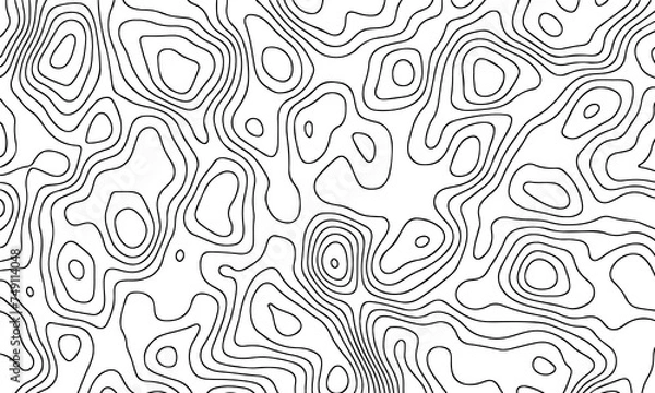 Fototapeta Vector pattern topographic map. Very suitable for mapping needs, background design, geology, geography, and so on.