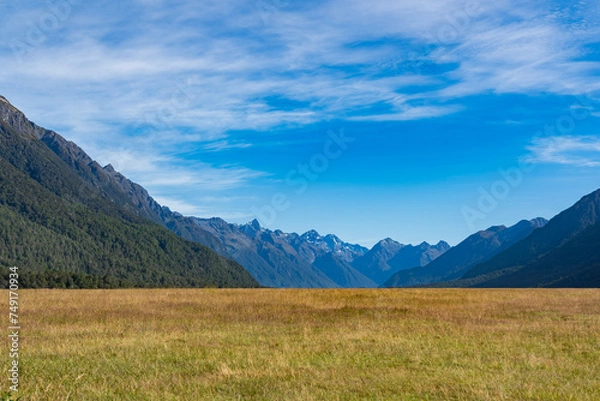 Fototapeta ニュージーランドのエグリントンバレー