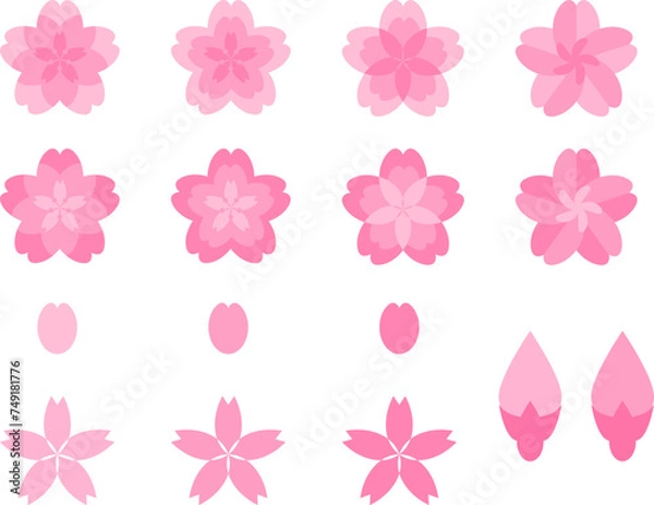 Obraz 桜の花と花びら、つぼみの素材、計16種