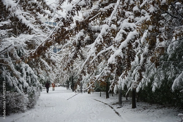 Fototapeta 겨울에 밤새 눈내린 도시마을 풍경입니다