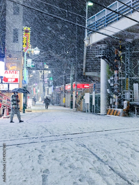 Fototapeta 東京の大雪