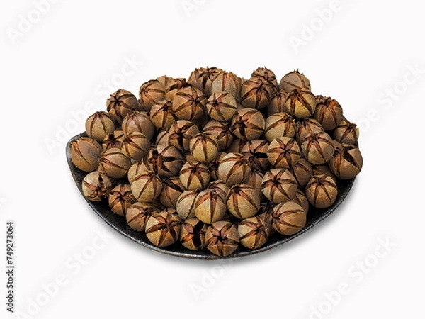 Obraz Pride of India dry seeds (Lagerstroemia speciosa) in a bowl isolated on white background, other common names :  Queen’s Flower, Queen’s Crape Myrtle.
