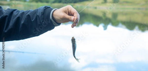 Fototapeta Man catching and showing small fish in the lake.
