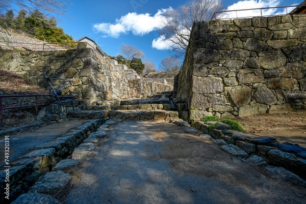 Obraz 金山城址の石垣