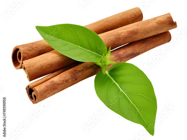 Fototapeta cinnamon sticks with green leave herb use in cooking
