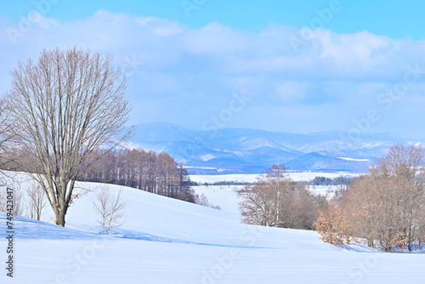 Obraz 雪景色　雪と山と雲と青空