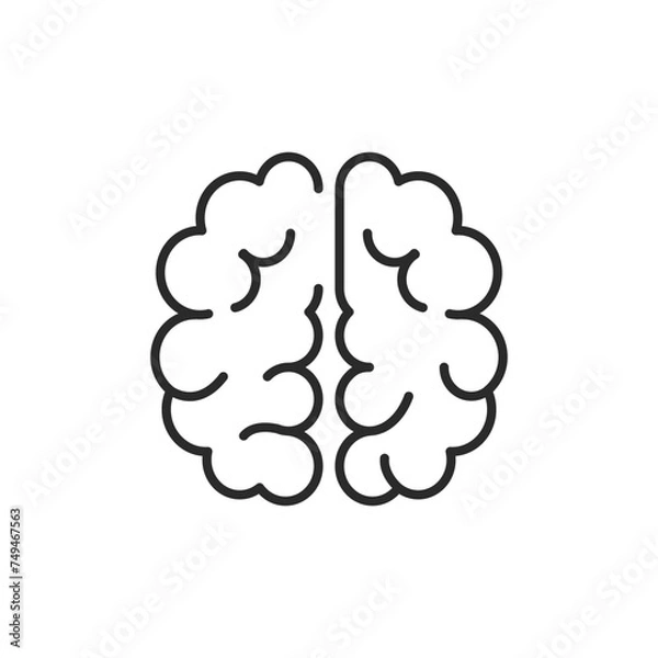 Fototapeta Brain icon. Top view of brain structure simple line icon isolated on white background. Vector illustration 