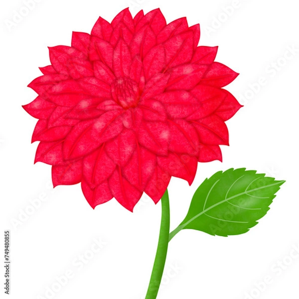 Obraz red dahlia flower