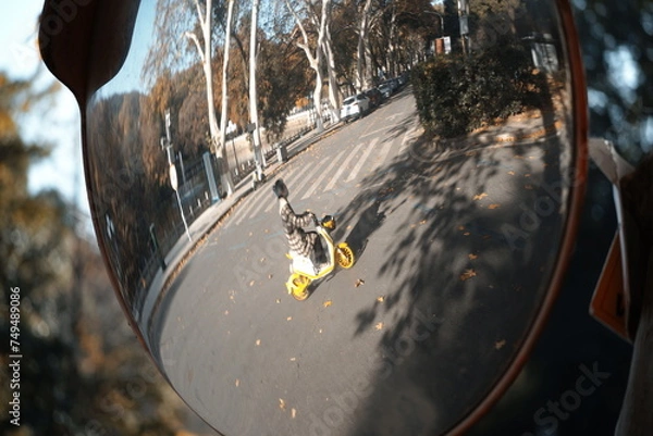 Fototapeta Convex mirror