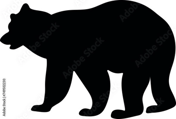 Obraz bear animal vector
